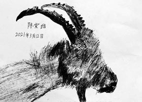 ɽ-ͯ(chung)A-2021312աcԷ-WƷ
