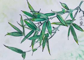 ~棩-P-2022116ա＾cԷ-WƷ