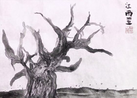 -A-202364աﴺcԷ-WƷ
