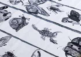 昆蟲-國畫基礎班-2023年9月24日★秋季班★新起點畫苑-學生作品