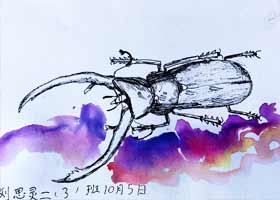 x-ͯ(chung)-2023105ա＾cԷ-W(xu)Ʒ