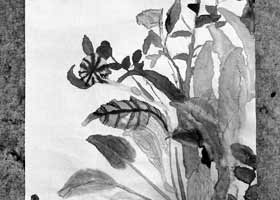 花草-國畫基礎班-2023年10月15日★秋季班★新起點畫苑-學生作品