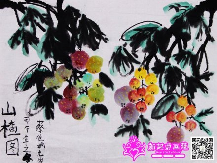 山楂圖-國畫初級班-新起點畫苑2014年12月06日